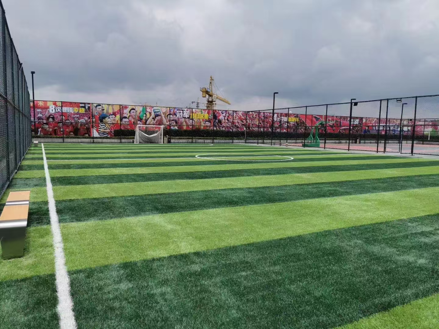 �����ƺ���ﾶ�˶����������������˶�����